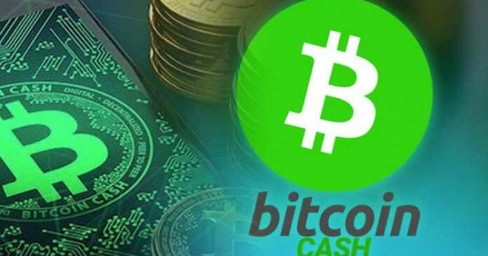 Bitcoin Cash Nedir? Normal Bitcoin'den Farkları Nelerdir?